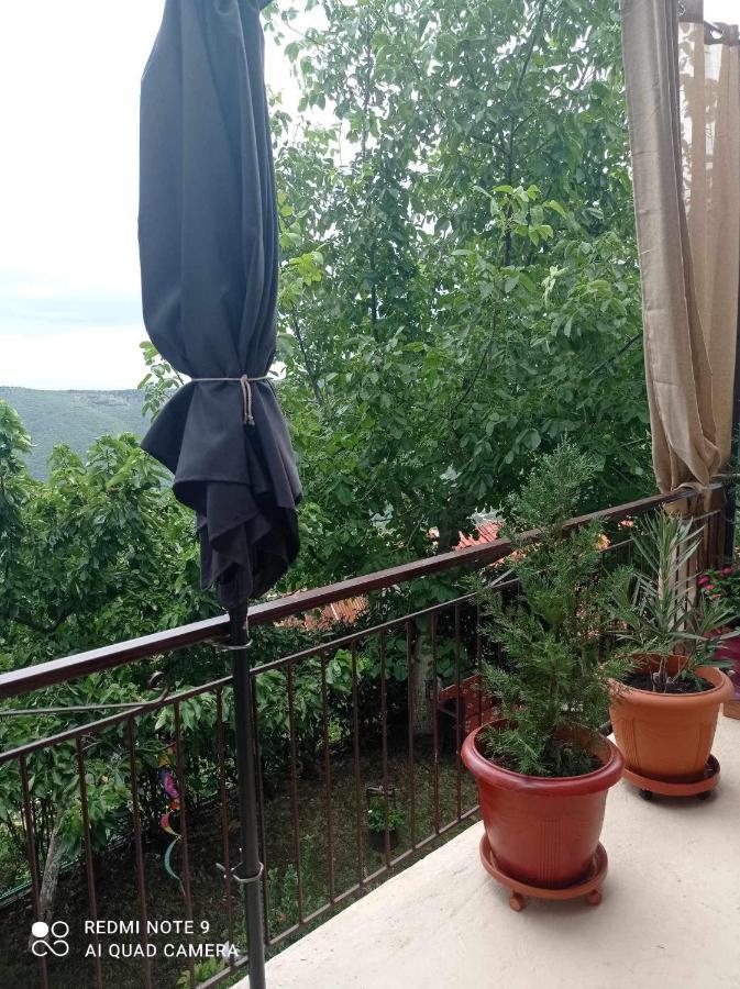 Άγρια Λούλουδα Κατοικία Αρμονία Timfristos エクステリア 写真