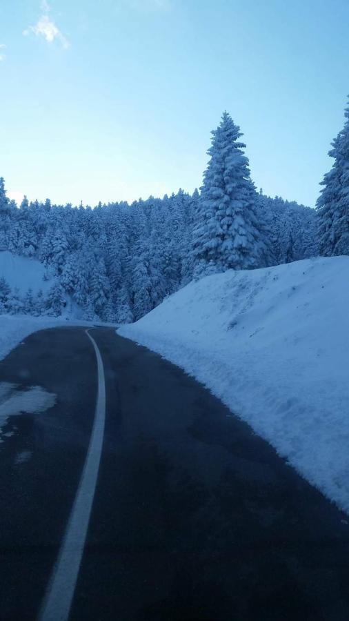 Άγρια Λούλουδα Κατοικία Αρμονία Timfristos エクステリア 写真