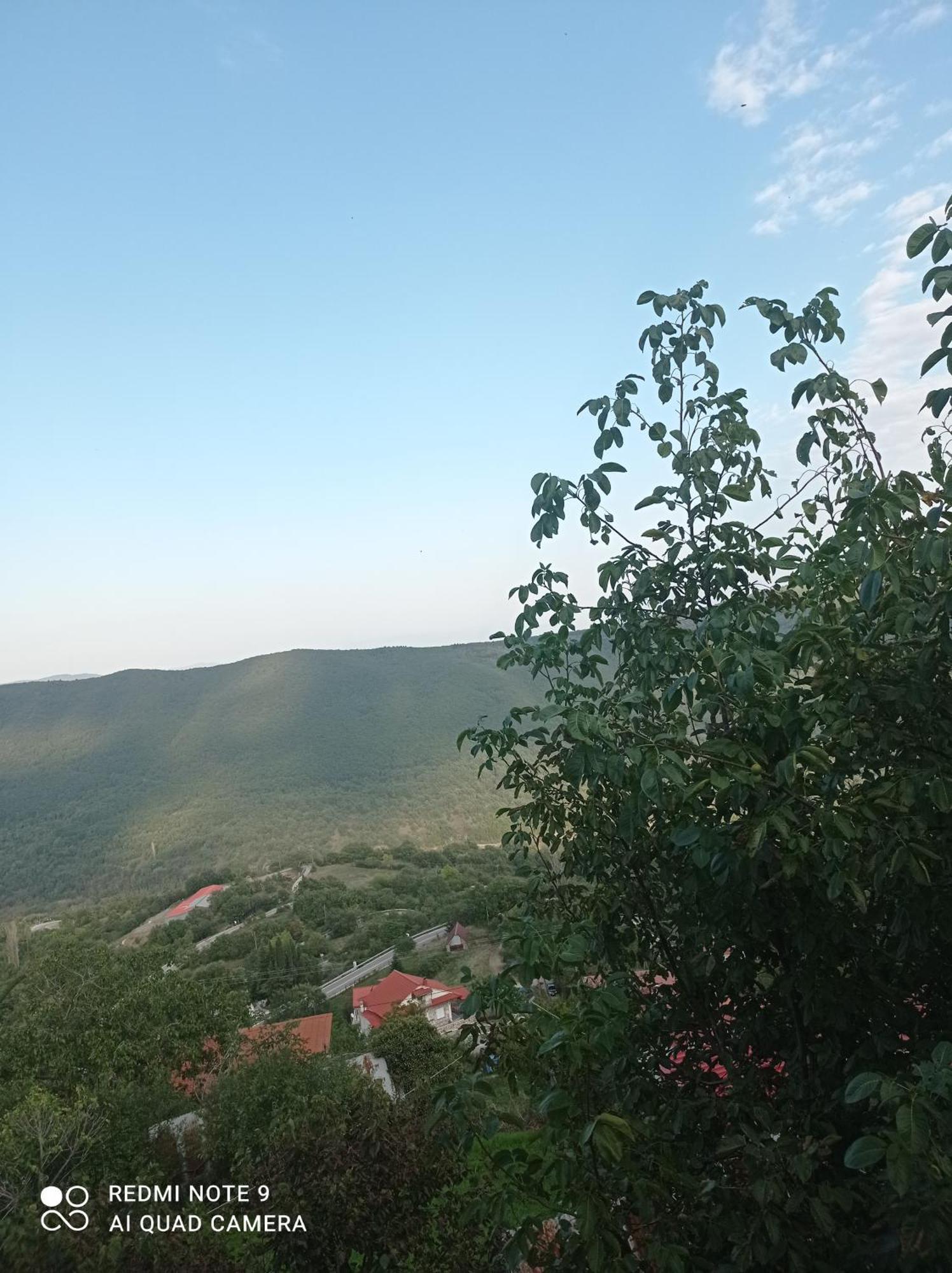 Άγρια Λούλουδα Κατοικία Αρμονία Timfristos エクステリア 写真