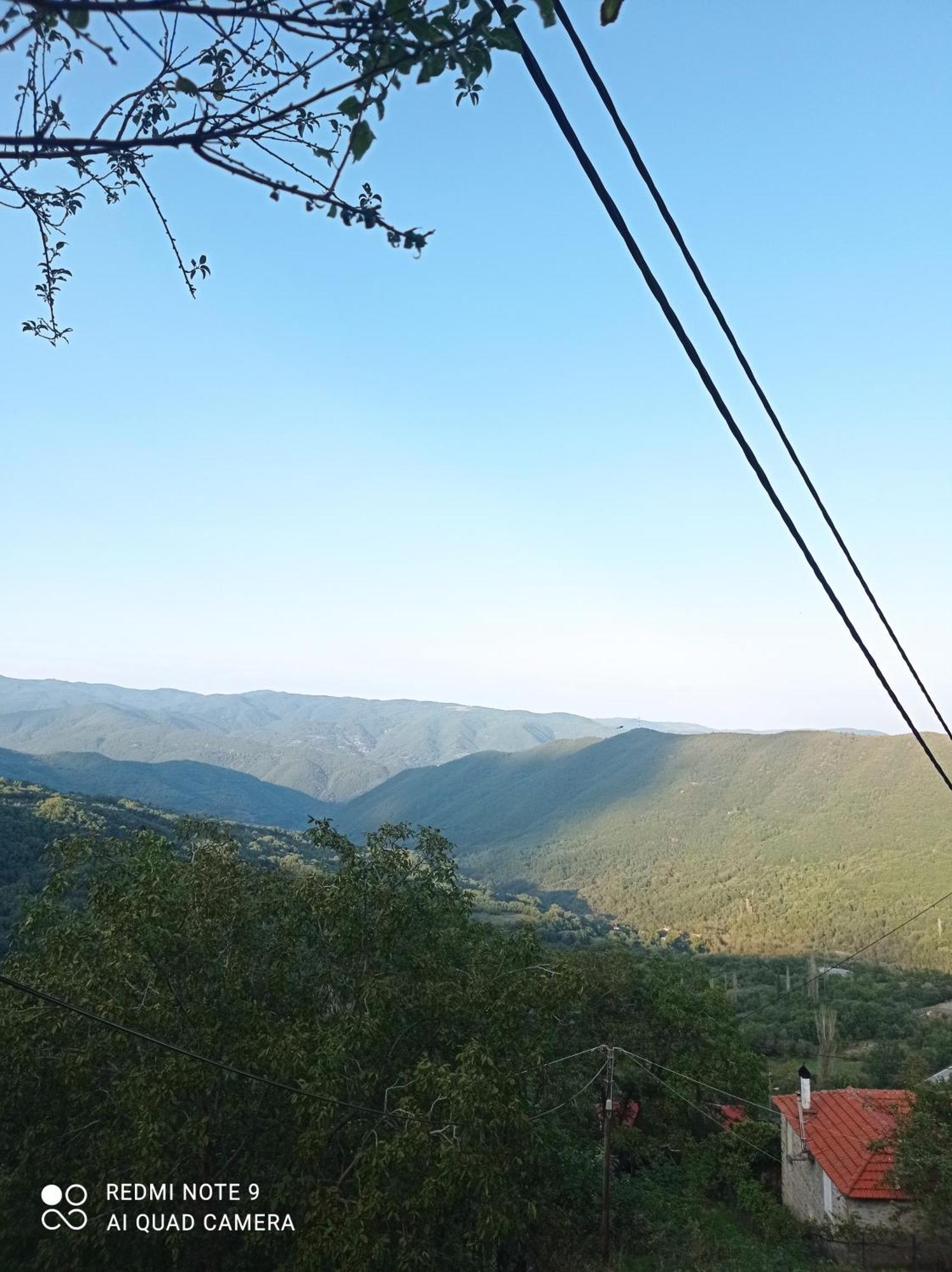 Άγρια Λούλουδα Κατοικία Αρμονία Timfristos エクステリア 写真