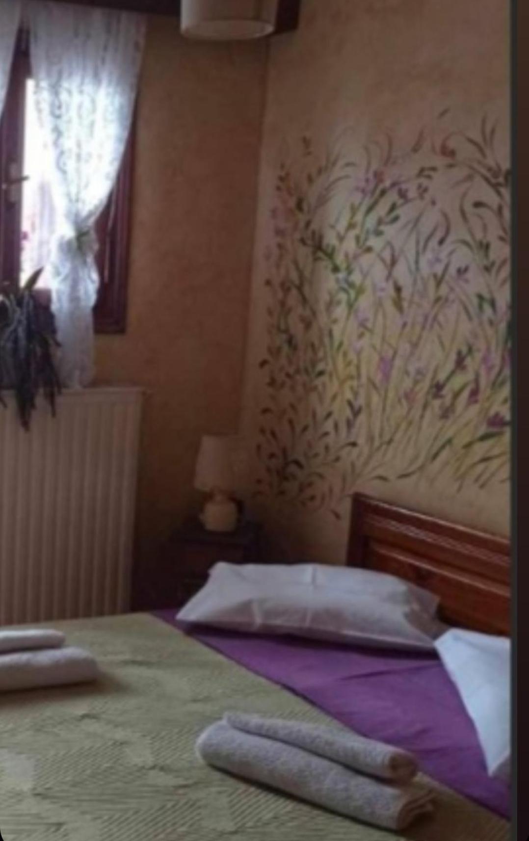 Άγρια Λούλουδα Κατοικία Αρμονία Timfristos エクステリア 写真