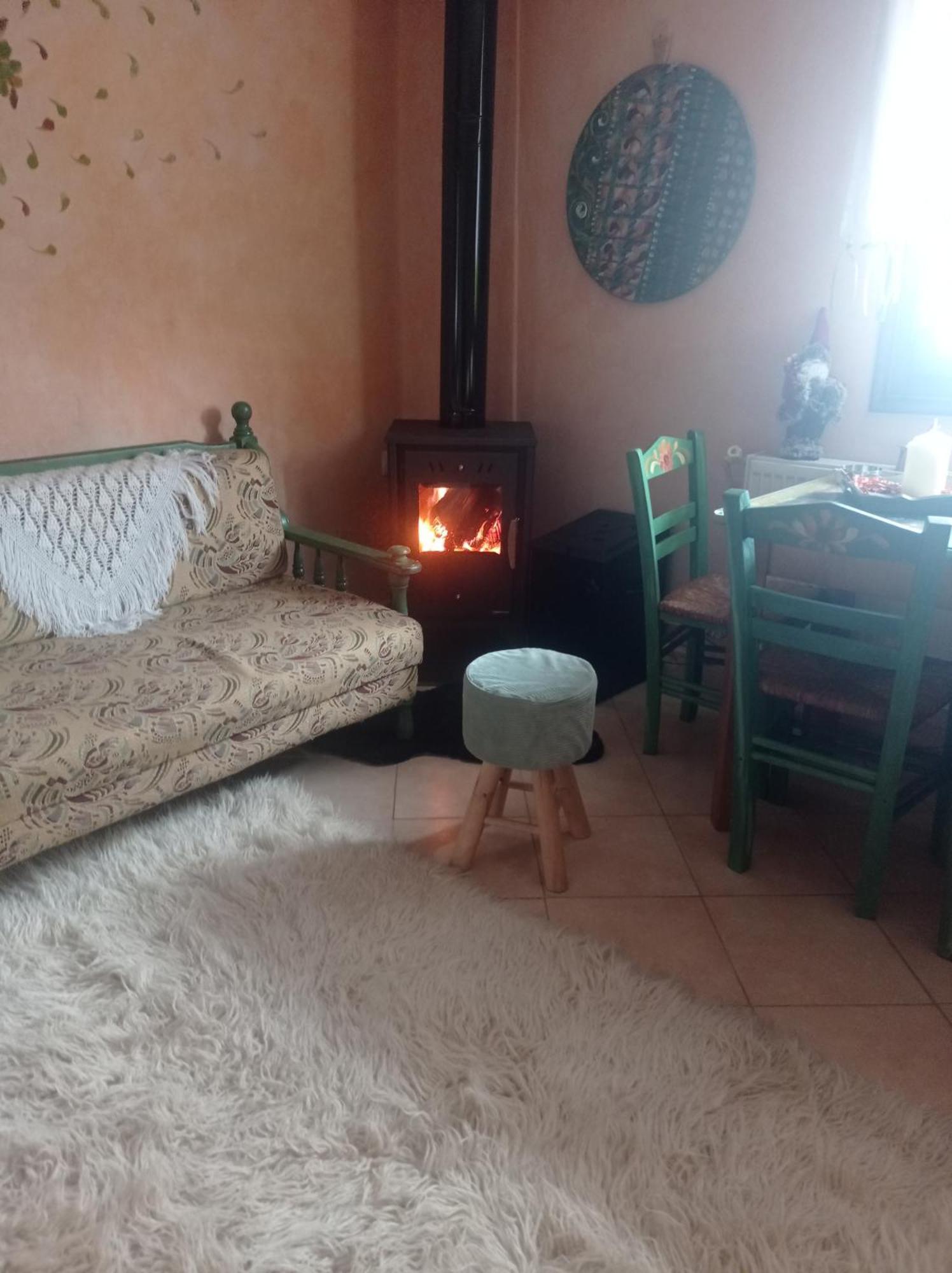 Άγρια Λούλουδα Κατοικία Αρμονία Timfristos エクステリア 写真